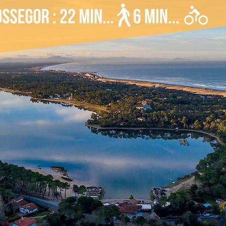Magnifique Vue Océan - Plage -Surf - Famille Soorts-Hossegor Exterior foto