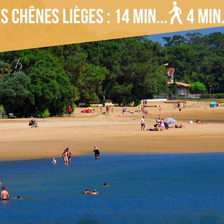 Magnifique Vue Océan - Plage -Surf - Famille Soorts-Hossegor Exterior foto