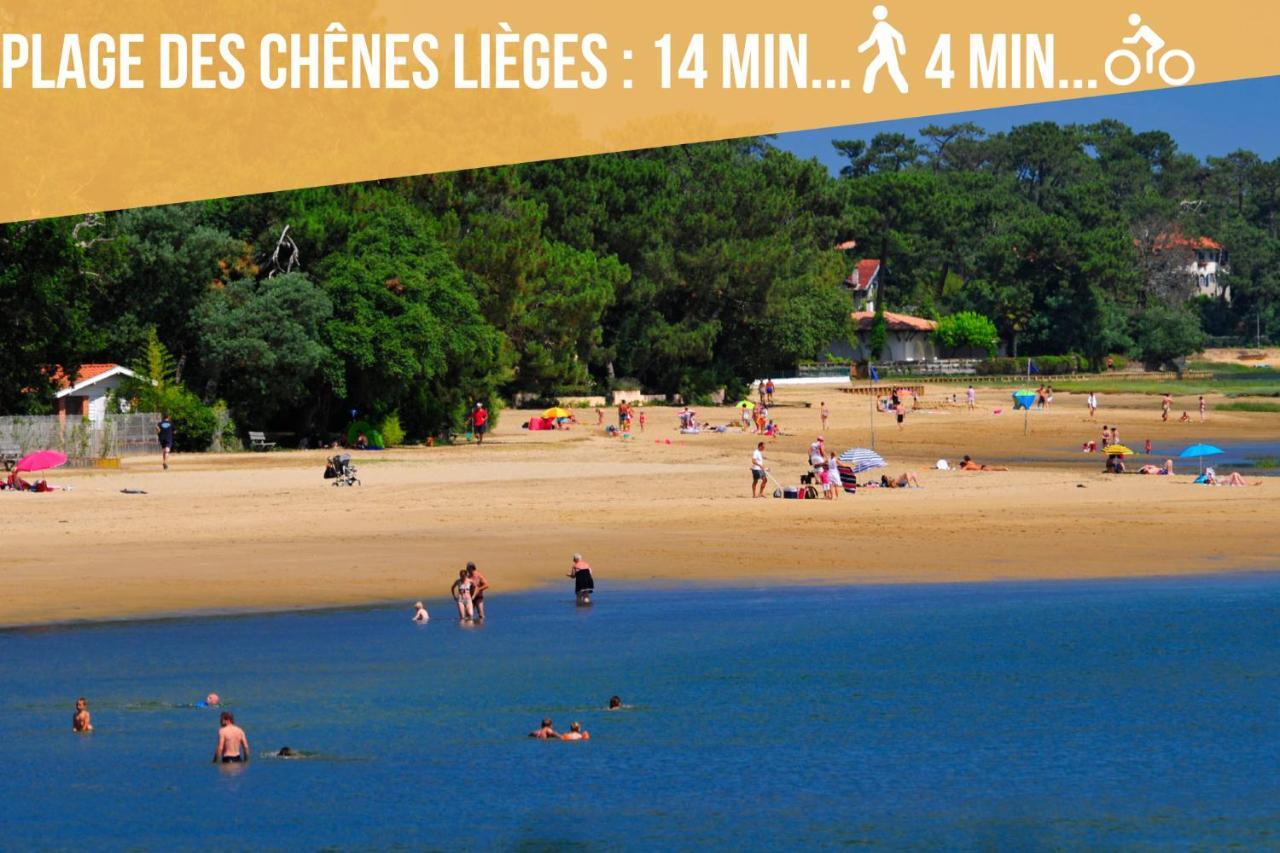 Magnifique Vue Océan - Plage -Surf - Famille Soorts-Hossegor Exterior foto